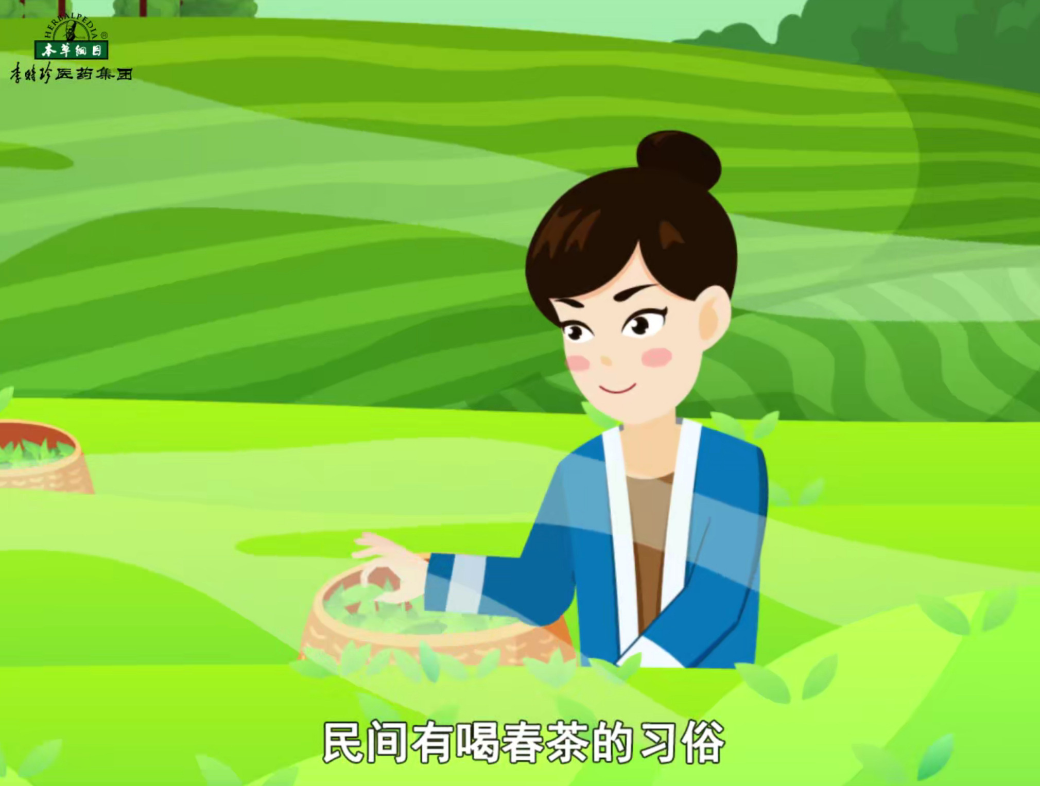 谷雨节气，采茶对雨